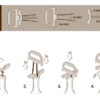 The Durand Vintage Wine Cork Removal - Image 2